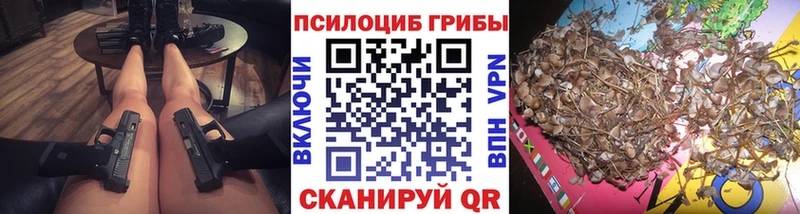Псилоцибиновые грибы Cubensis  Купить закладки  Ревда 